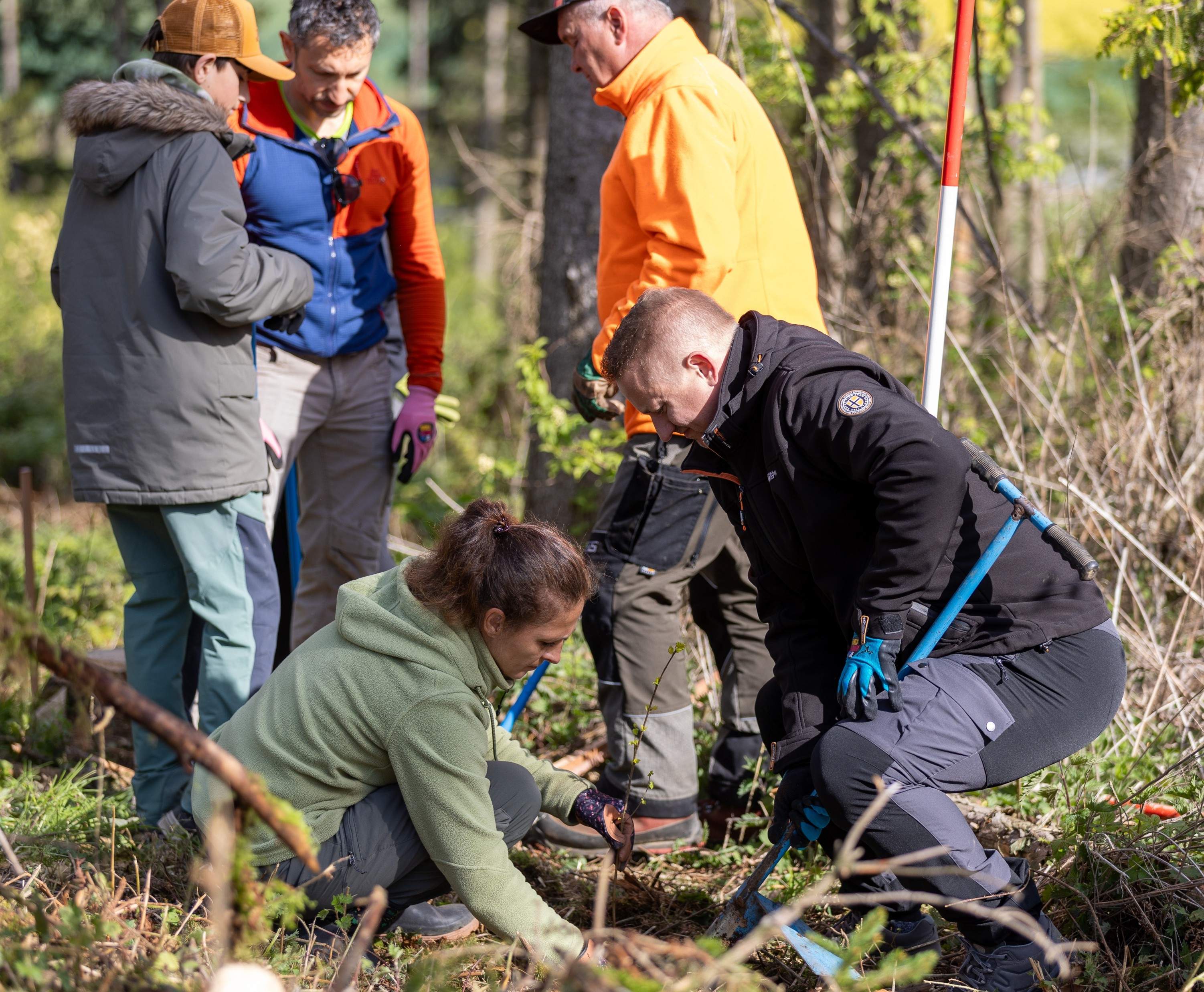 Planting Trees – Shaping our Future Together