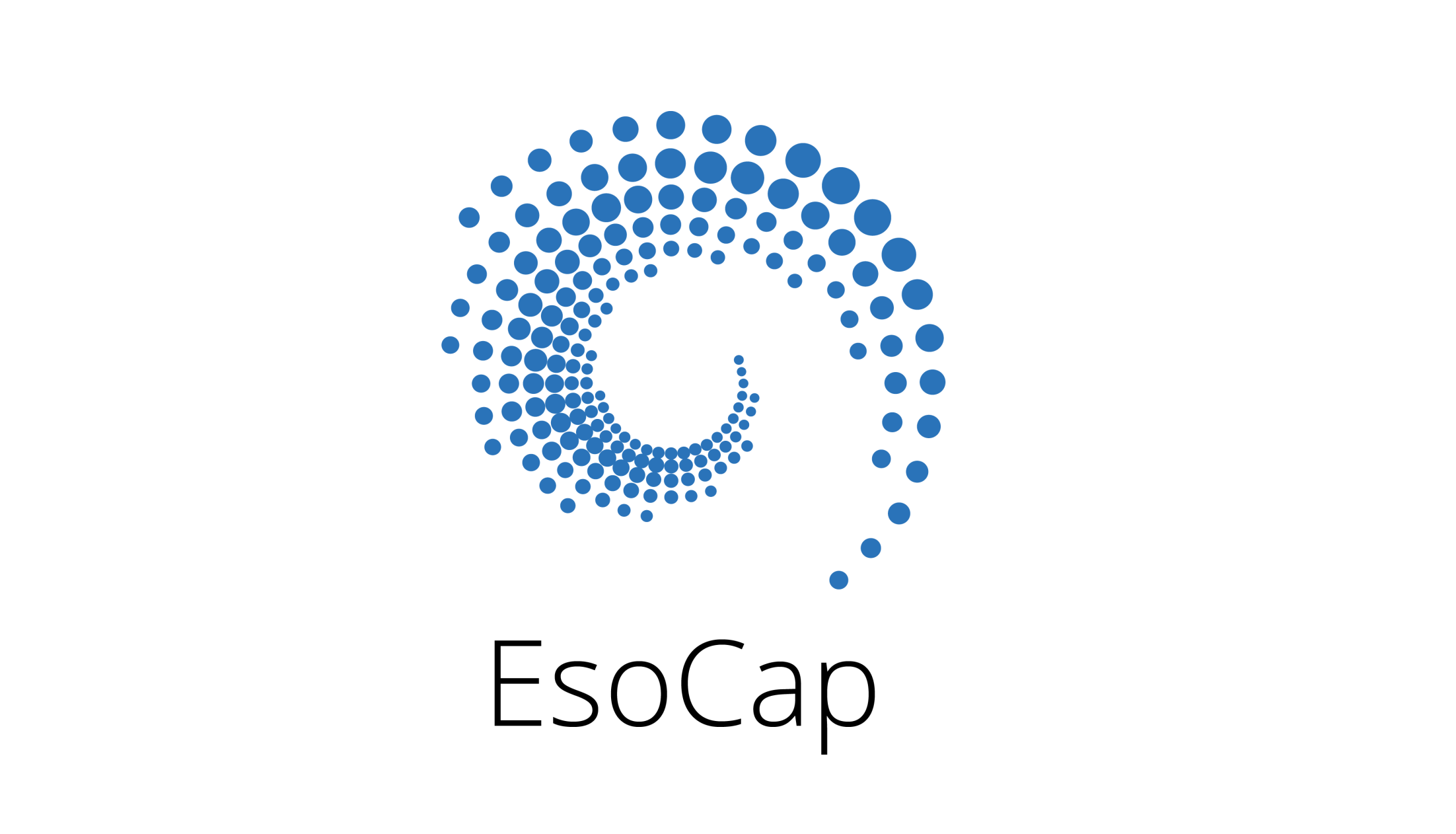 Logo der EsoCap AG